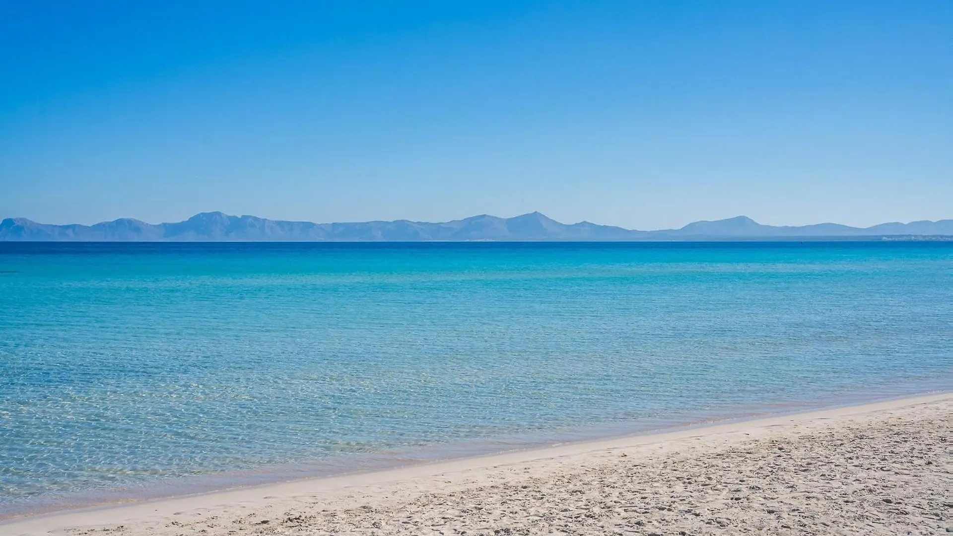 Ideal Property Mallorca - Alcudia Beach Lejlighed